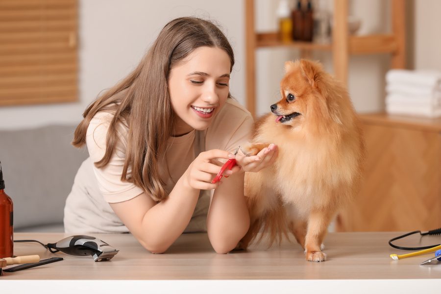 Nail Trims at Alamo Pet Spa